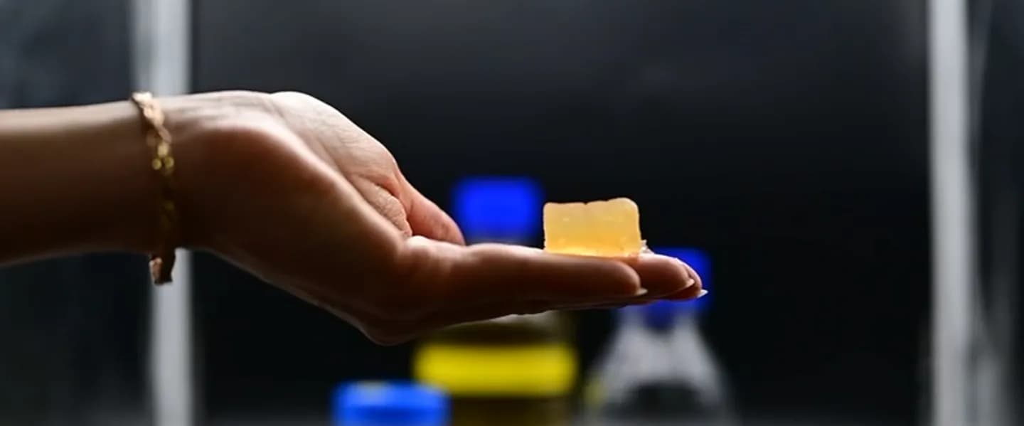 hand holding oleogel